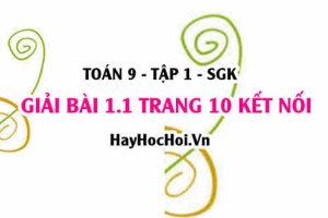 Bài 1.1 trang 10 Toán 9 tập 1 Kết nối tri thức SGK